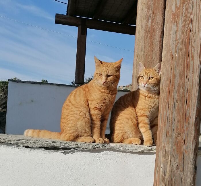 There's A Glitch In The Matrix