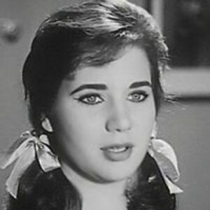 صفية النجار