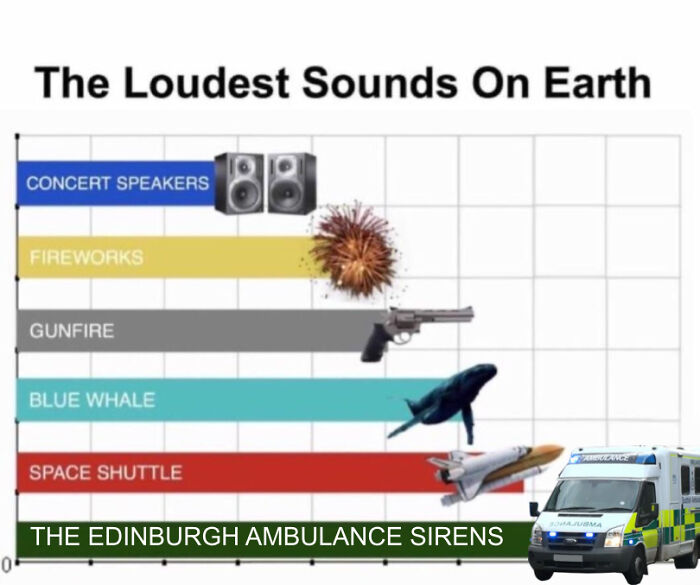 I Have Been Here For 2 Days, And I Think I'm Deaf Already