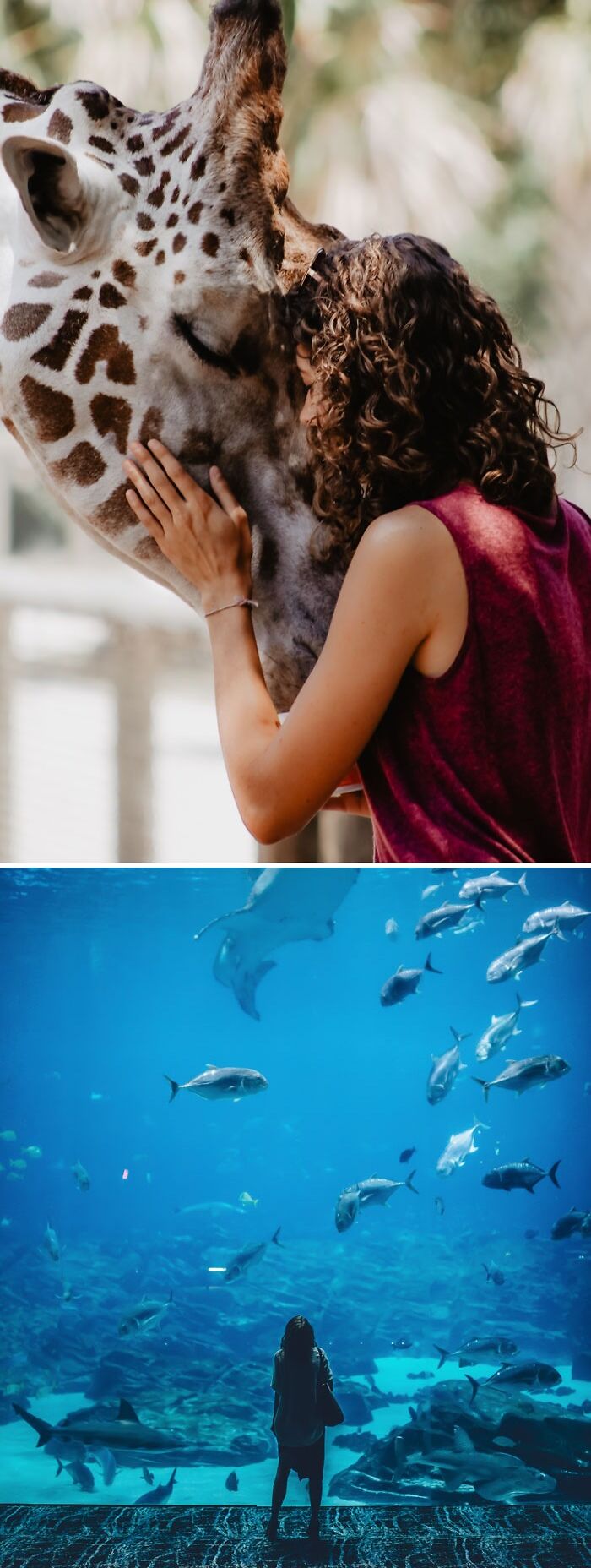 Go To A Zoo Or Aquarium