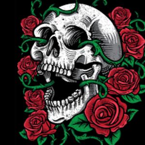 holgermatamorosgalan avatar