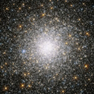 danielarodrigues_2 avatar