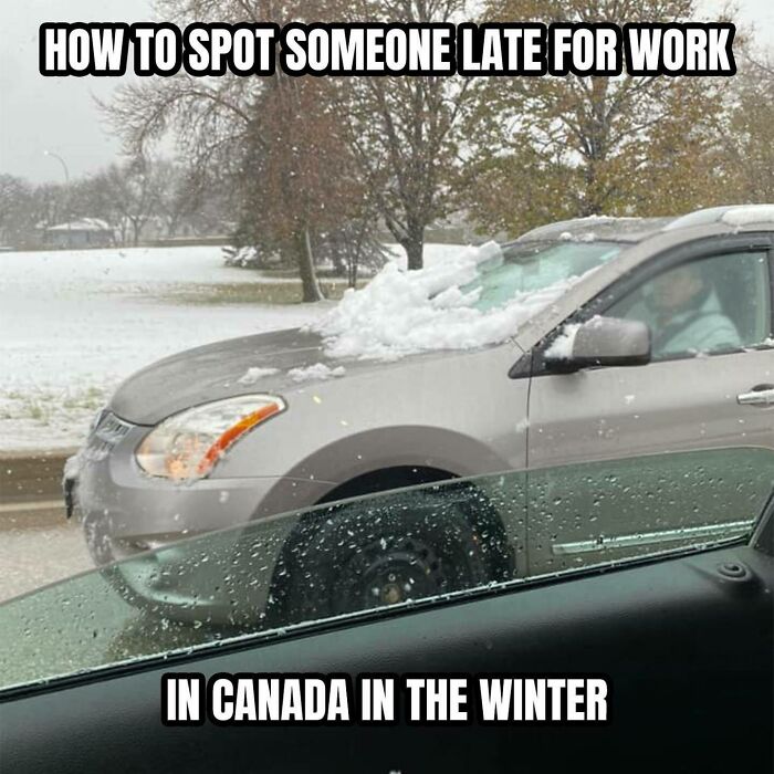 Funny-Canadian-Memes