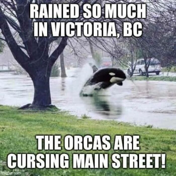 Funny-Canadian-Memes