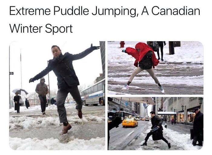 Funny-Canadian-Memes