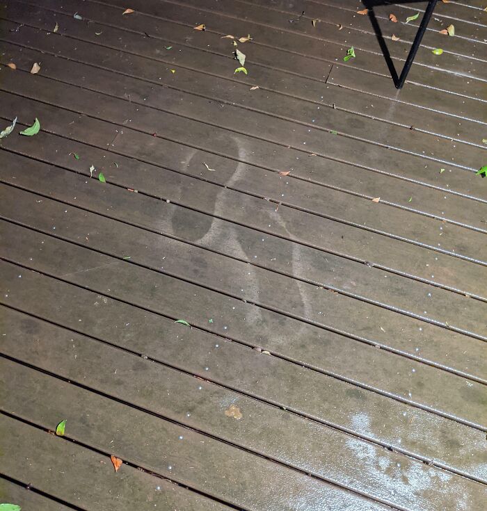 Footprints In The Middle Of My New House's Deck, No Tracks
