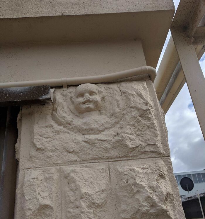 Really Should Have Checked Out The Place Before Renting