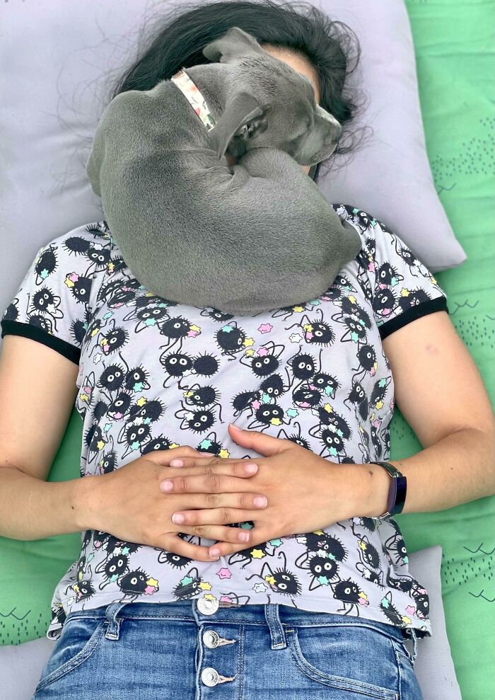 We’ve Had Her For 1 Week, And This Is How She Sleeps Now
