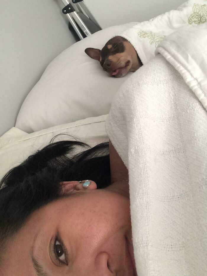 My Favorite Mouth Breather, Sleeping On His Favorite Memory Foam Pillow