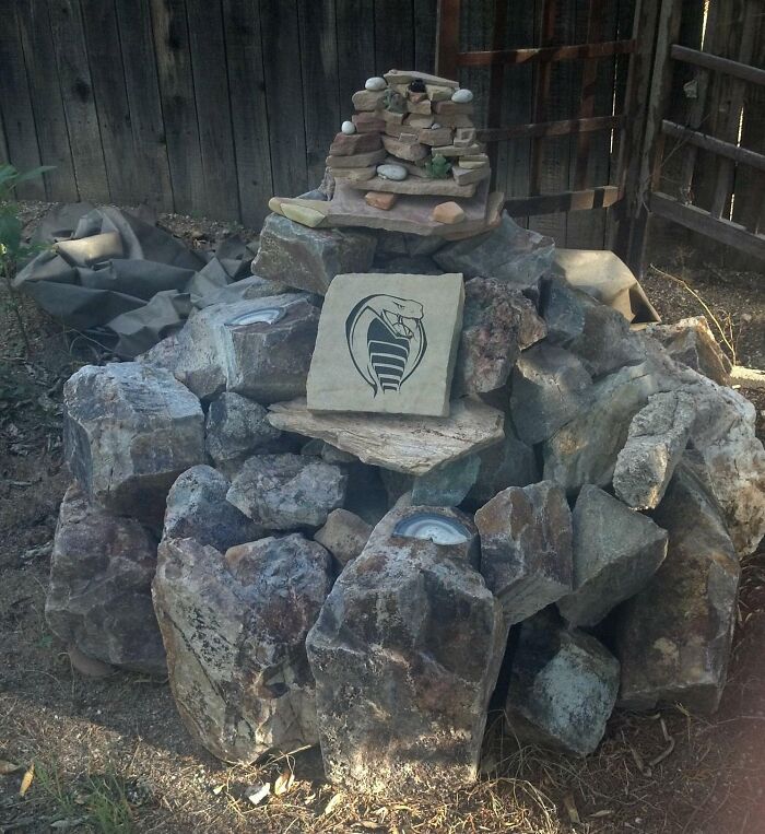 This Is In The Backyard Of The House My Parents Are Buying