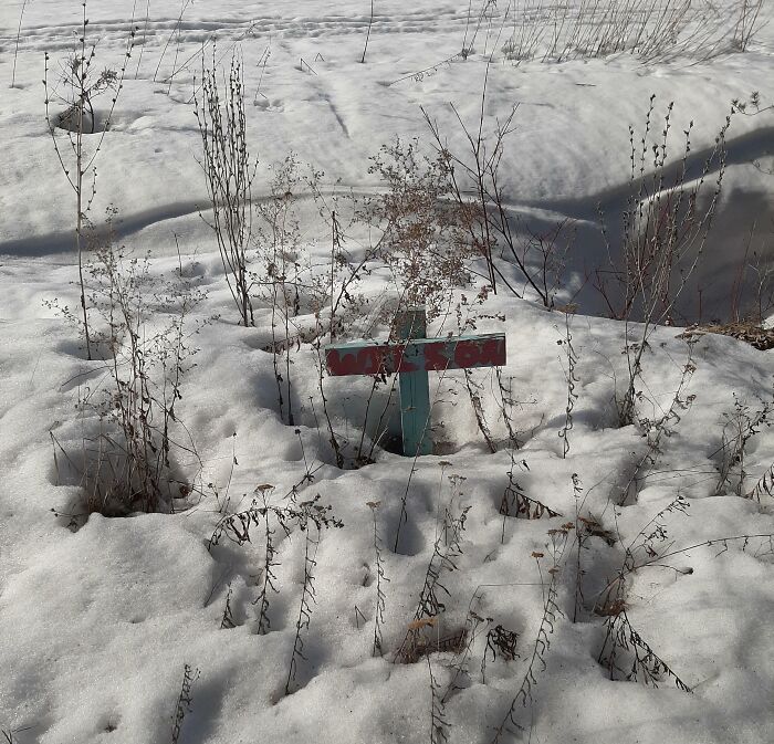 We Moved To A New House, Just Found A Dog Grave During The Snowmelt