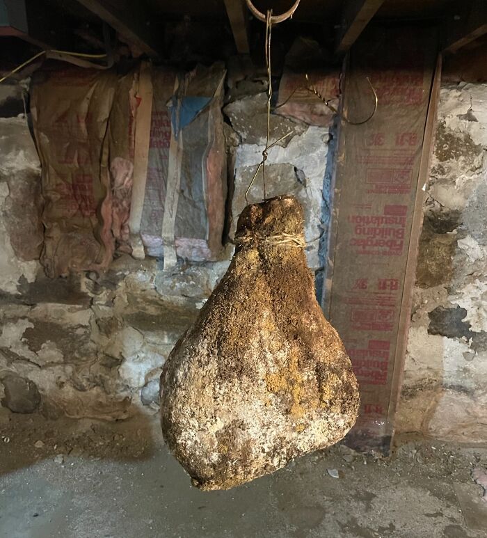 In The Basement Of My Airbnb