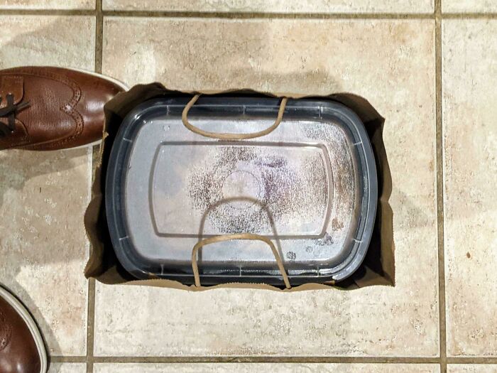 Nice Italian Restaurant's Takeout Containers Fit Perfectly Inside The Bag. They Have No Idea How Much This Delights Me