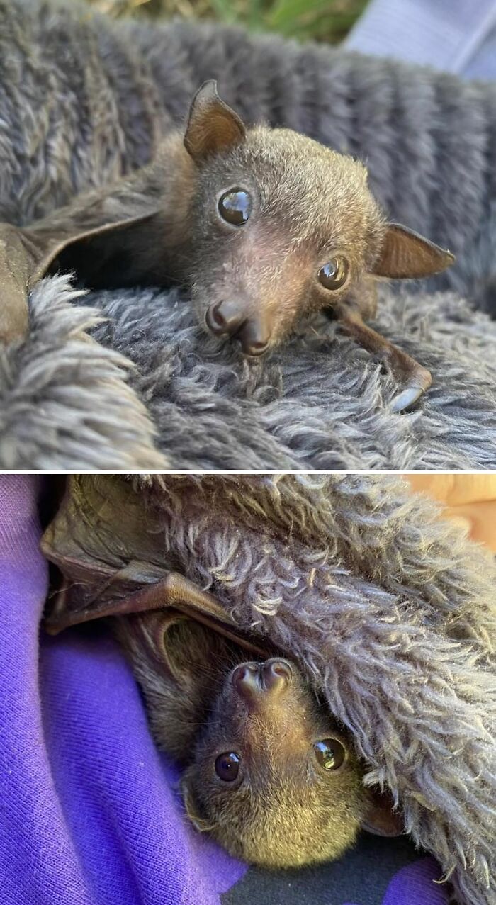 Sitting Outside Catching The First Rays Of Sun For The Day