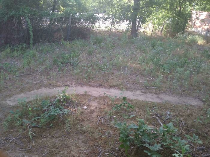 I'm In A Long Distance Relationship With My Girlfriend, And This Is Where I Walk When I'm On The Phone With Her Every Night