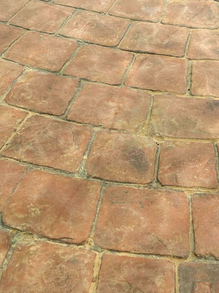 Does This Count? Ants Walking The Same Path Over And Over Again Made A Mark On These Dusty Tiles