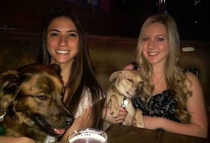 You Know How They Say Owners Look Like Their Dogs?