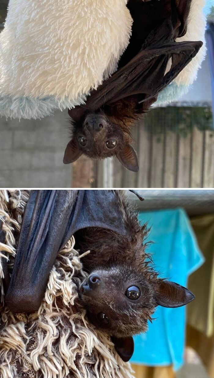 Snuggles, Nothing Like Snuggling Into A Warm Safe Place