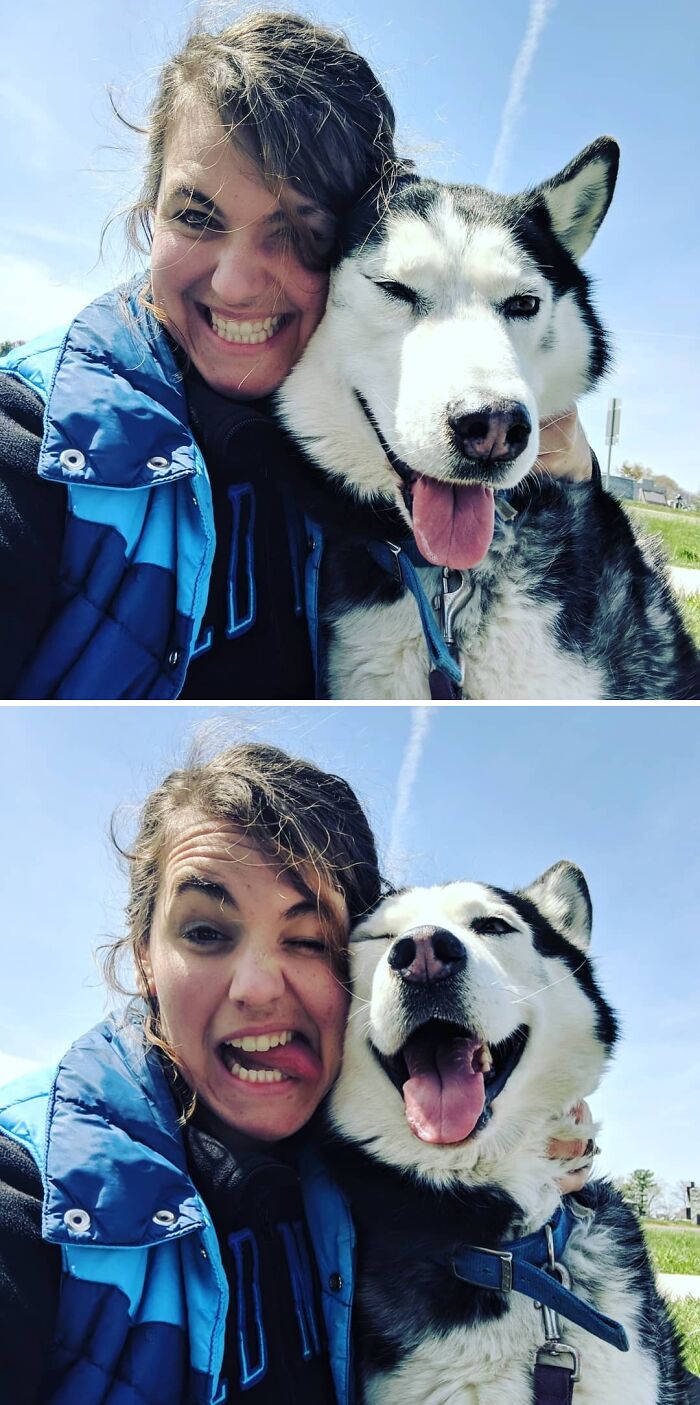 Life Is Better With A Husky