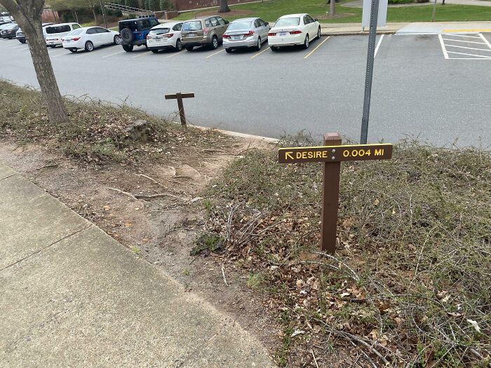 You Can’t Make This Stuff Up