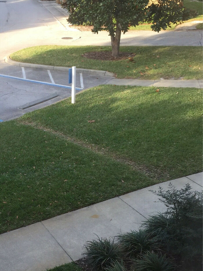 My Neighbor Has Worn This Path To His Car Over 9 Months