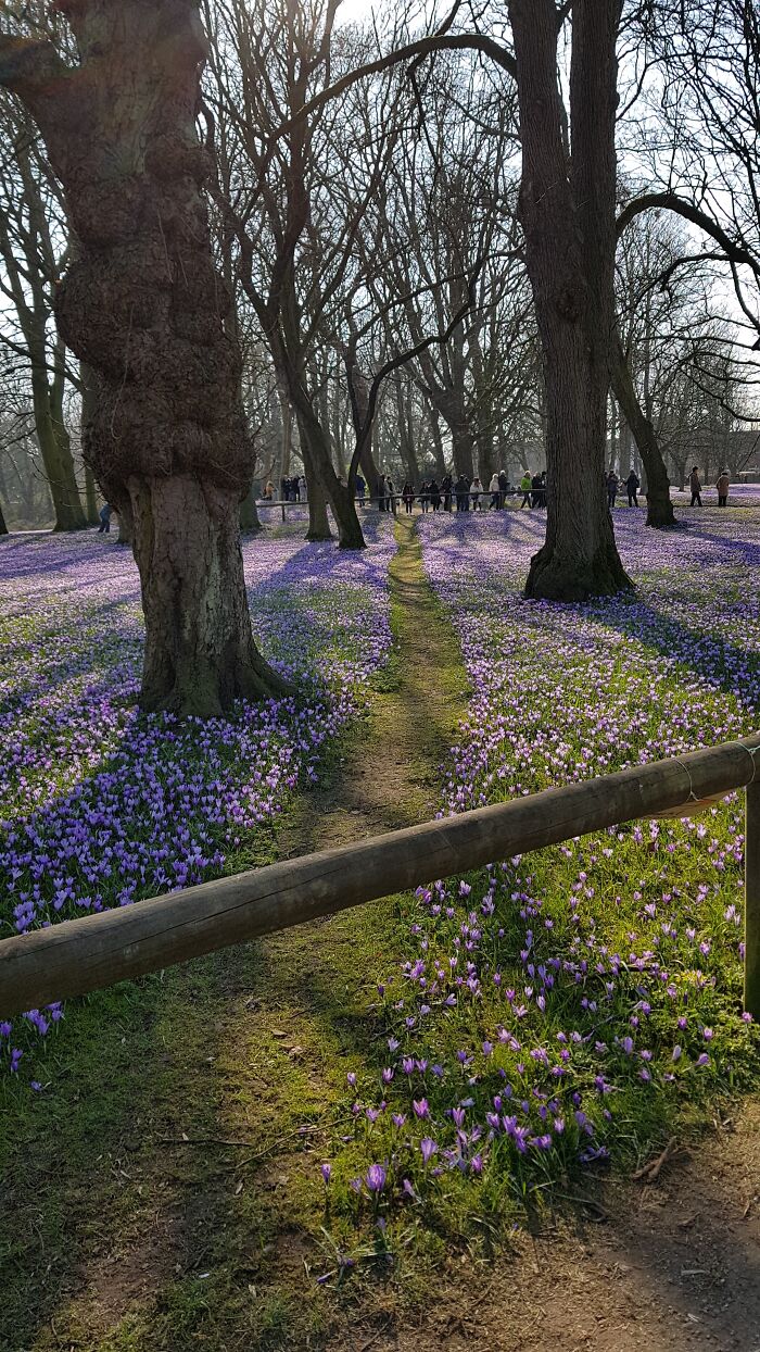 Found This Beautiful Path Earlier This Year