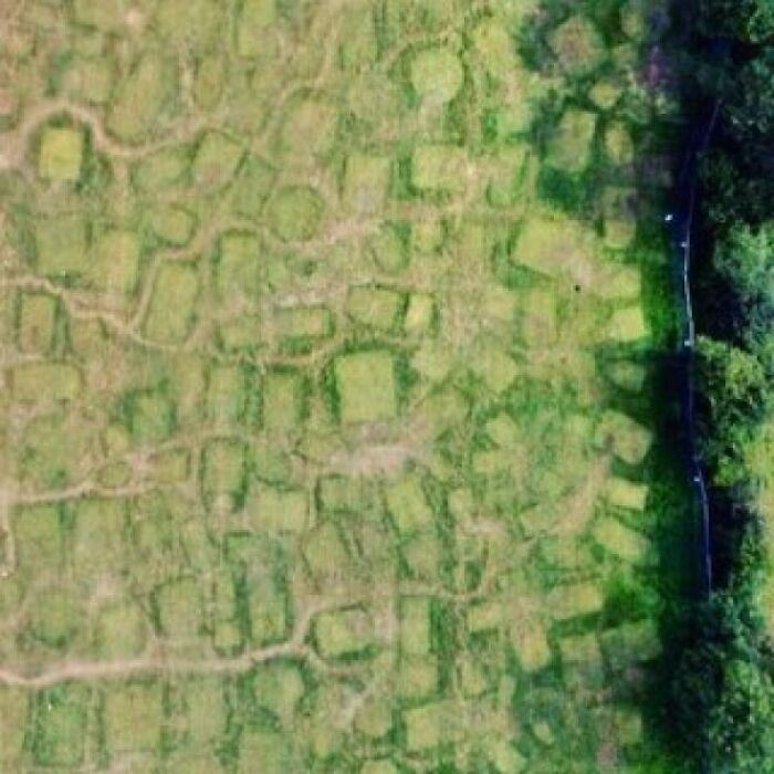 Desire Paths Left By People Walking Away And Stumbling Back To Their Tents At Glastonbury