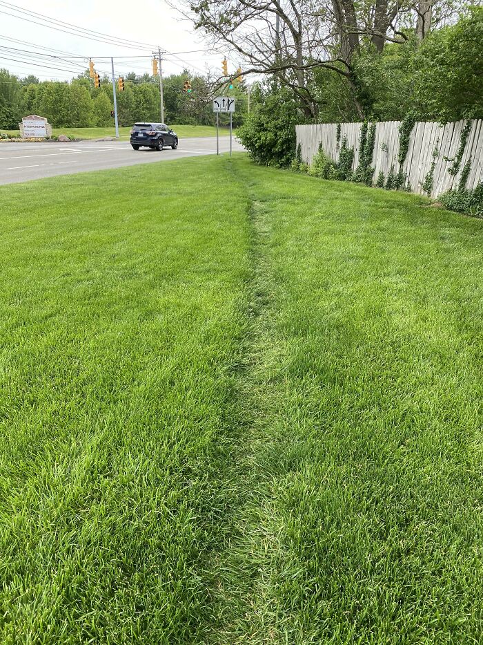 Been Walking To Work Everyday For 2 Years And I Just Realized I’ve Been Making My Own Path