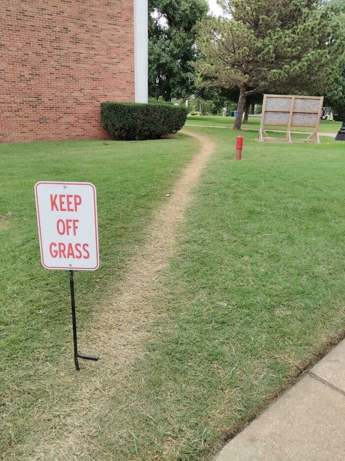 No, I Don’t Think I Will