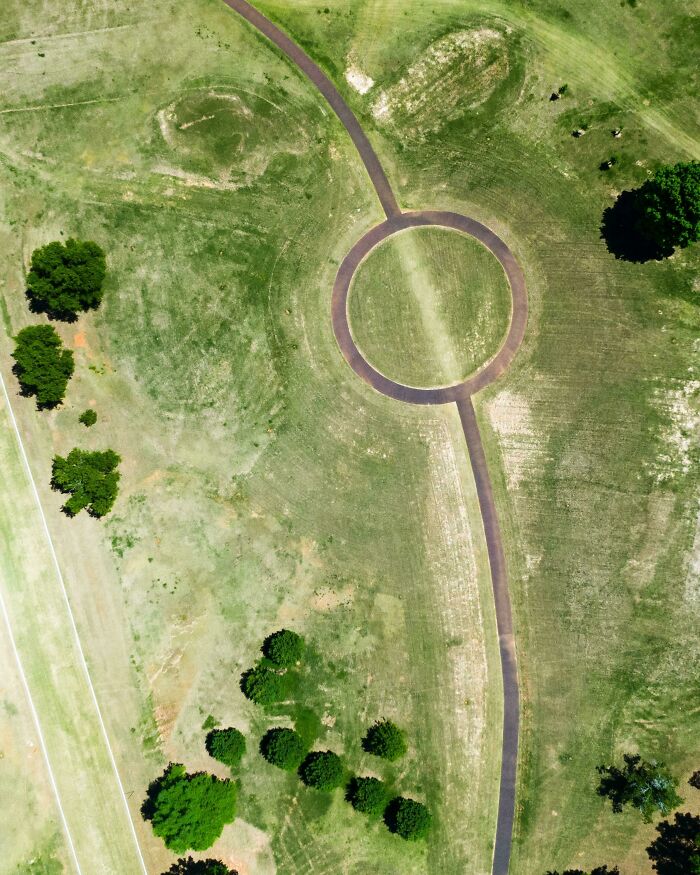 Honestly I’m Not Sure What They Expected