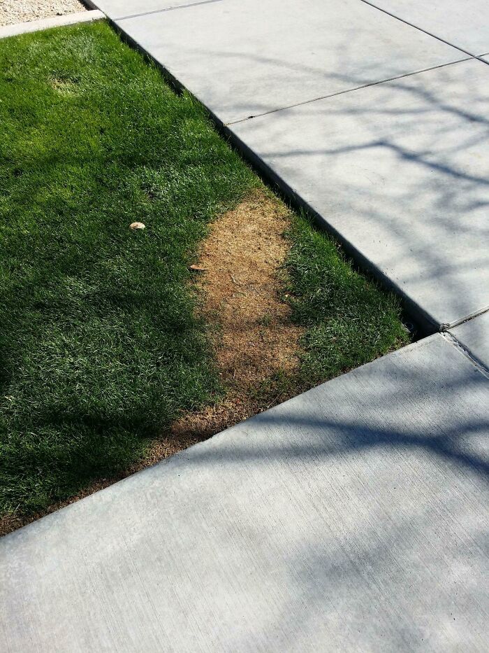 I Needed A Miracle To Make It To Class On Time, And Here Is That Miracle