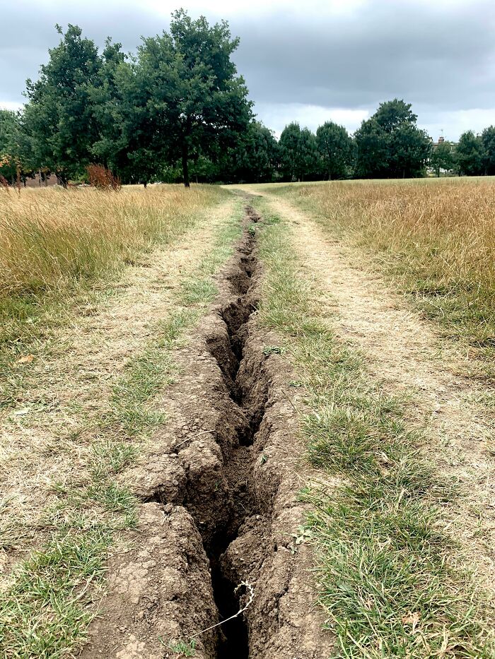 London Desire Path Is So Dry It’s Becoming A Desire Canyon