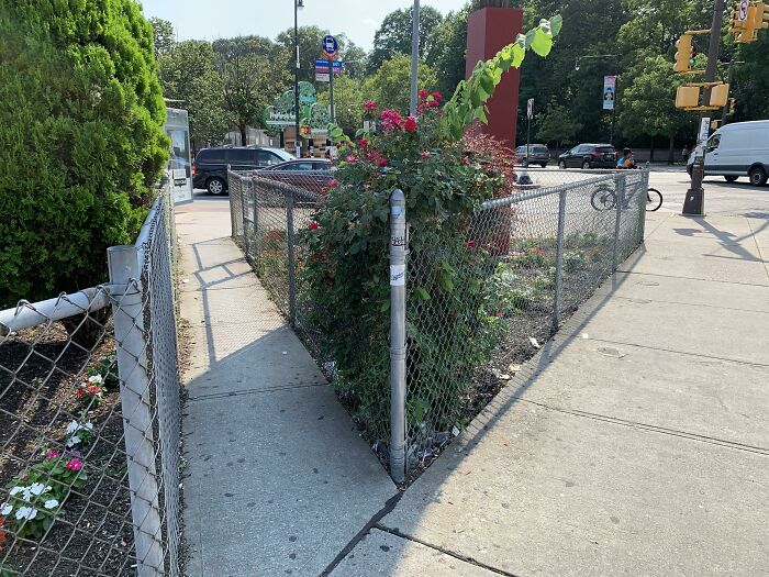 When Desire Becomes Reality