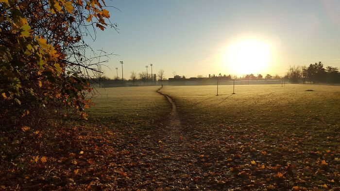 I Took This Two Years Ago But Just Discovered The Sub So I Thought I'd Share. Just A Bike Path Behind My Old School