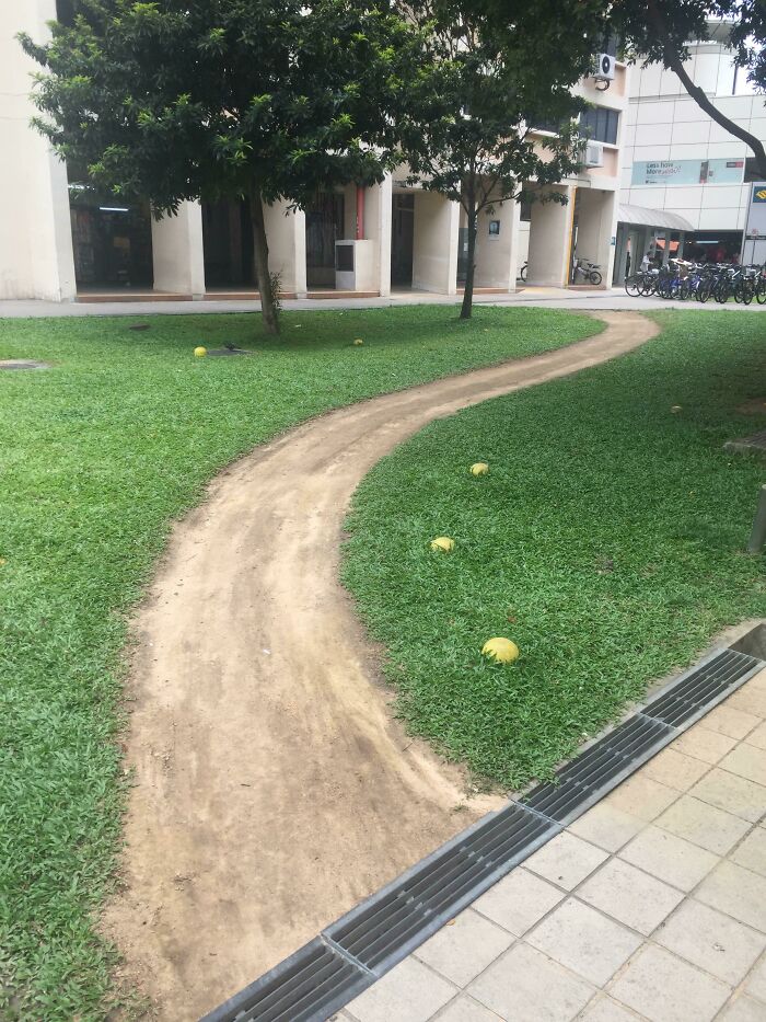 One Of The Best I’ve Seen Irl. Taken In February