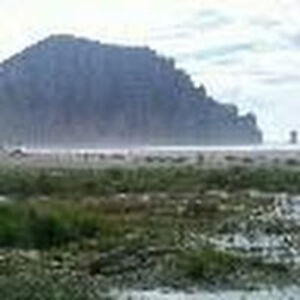 brianlangford avatar