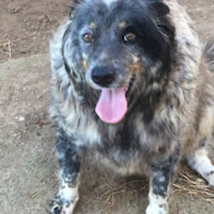 otakugaminghdotakugaminghd avatar