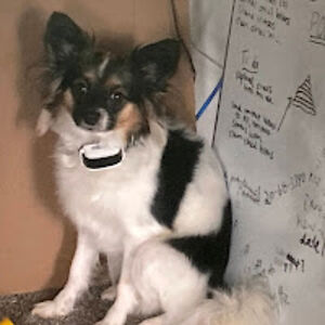 cassandrasafford avatar