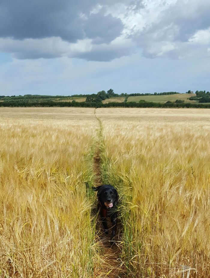 Found A Lovely One In Dorset