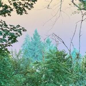 jojo_turner16 avatar