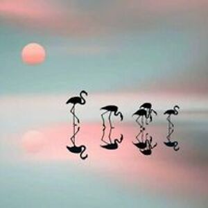 karen_m_wylie avatar