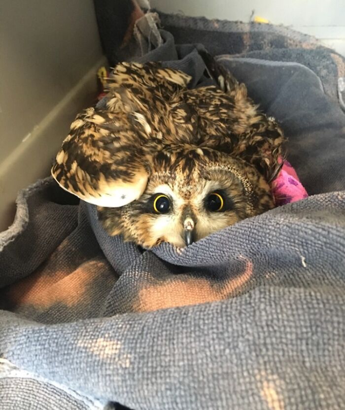 World's Cutest Patient