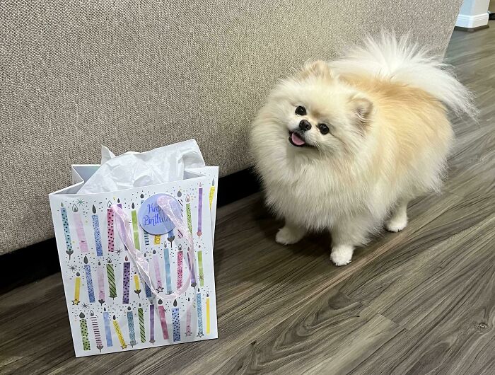 Bella’s 2nd Birthday!