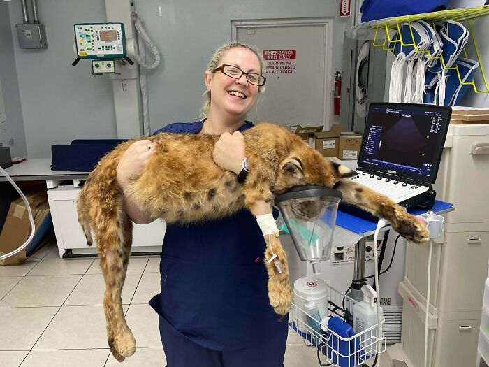 Sometimes I Get To Have Some Awesome Patients Being The Only ER That Does Exotics In My Area