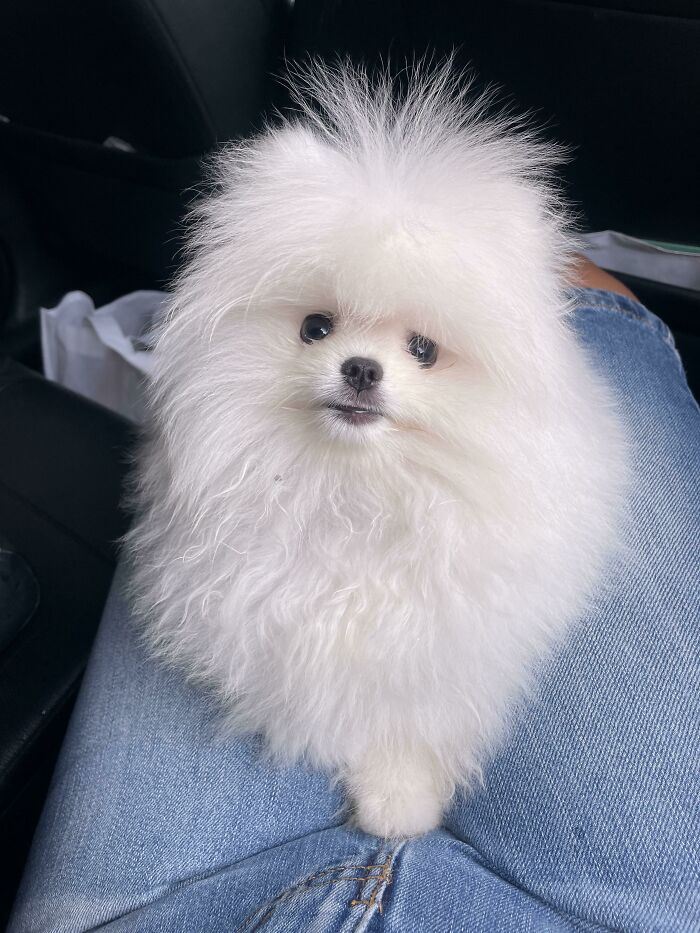 Welcome Home Baby Leonard