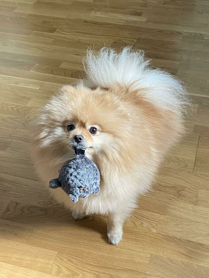 My Boy Hunt Gives The "Let’s Play" Look