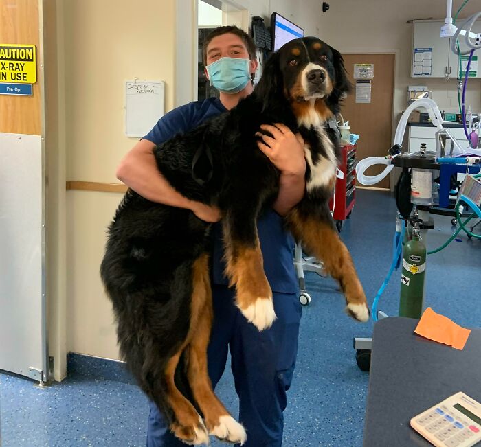 I’m Probably Exceeding Our Lift Limit