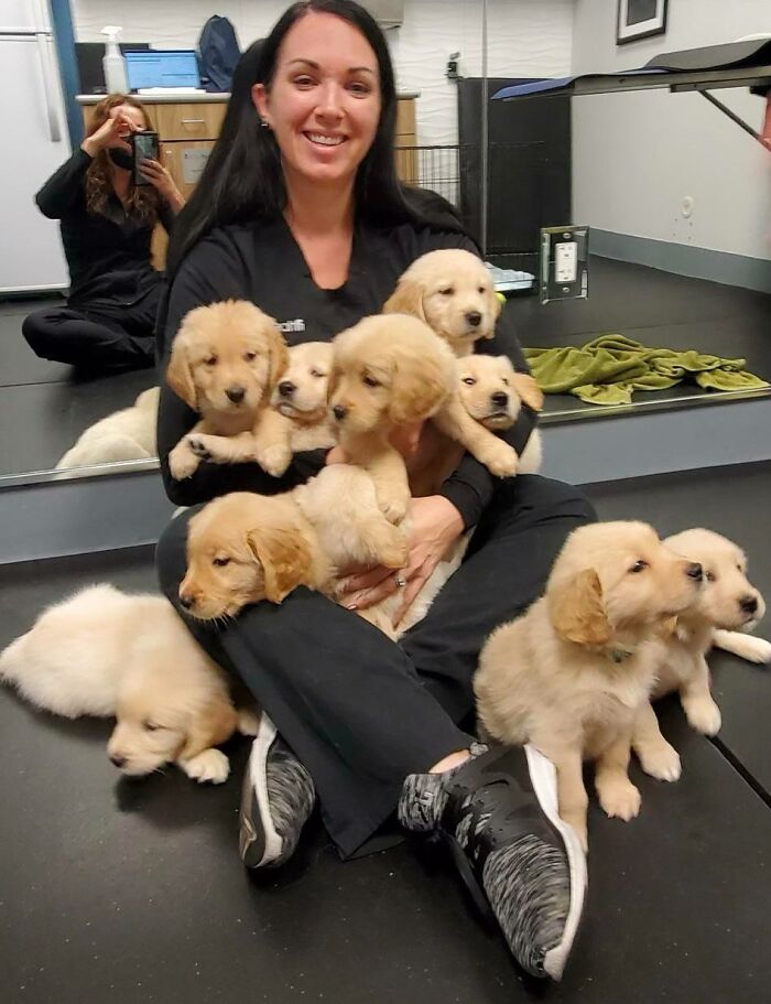 Occasionally We Do Get To Play With Puppies