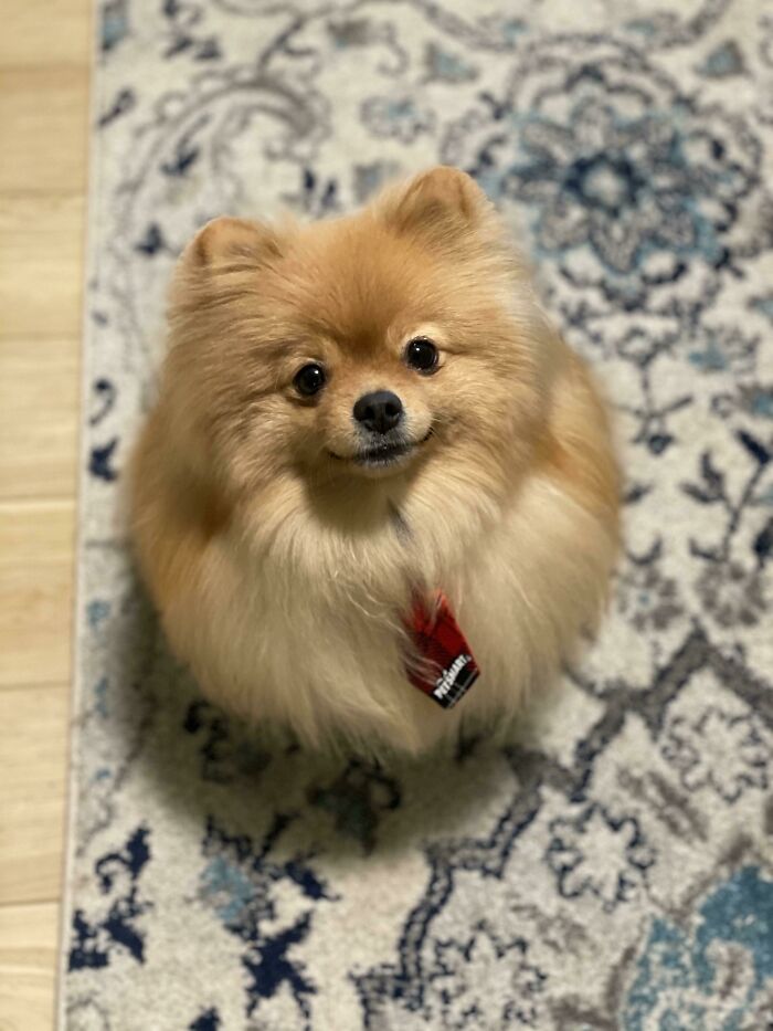 My Little Business Man