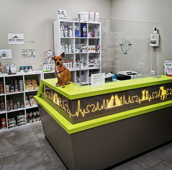 New Vet Tech. Pro: Accept Dog-Food Salary. Con: Just Peed Behind The Counter